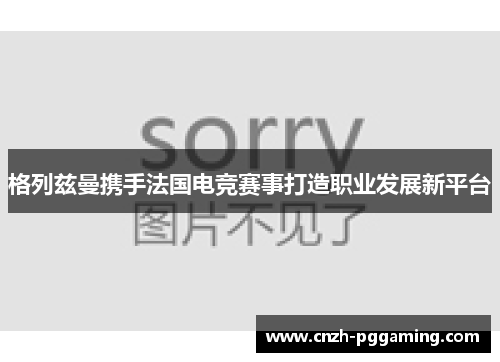 格列兹曼携手法国电竞赛事打造职业发展新平台