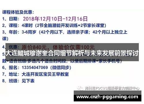 大连鲲城穆谢奎合同细节解析与未来发展前景探讨