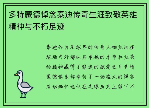 多特蒙德悼念泰迪传奇生涯致敬英雄精神与不朽足迹