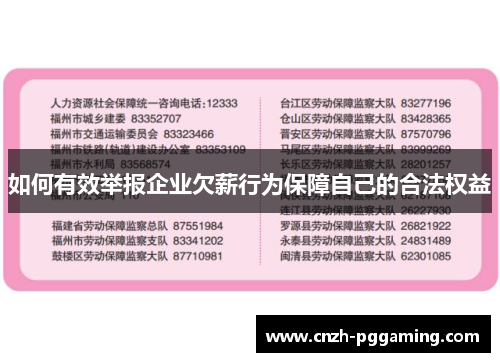 如何有效举报企业欠薪行为保障自己的合法权益