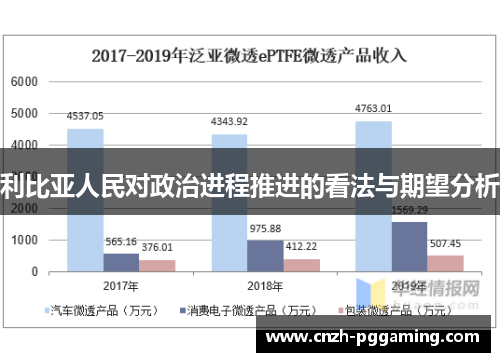 利比亚人民对政治进程推进的看法与期望分析