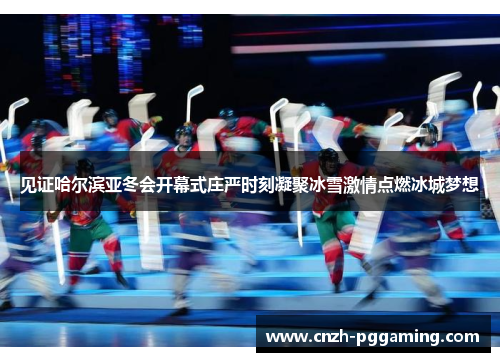 见证哈尔滨亚冬会开幕式庄严时刻凝聚冰雪激情点燃冰城梦想