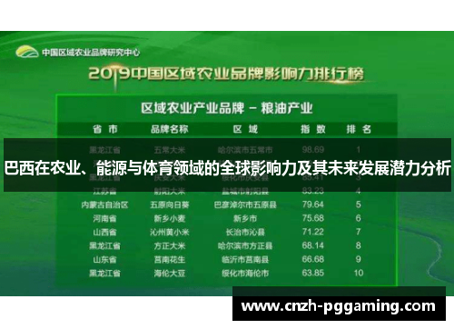 巴西在农业、能源与体育领域的全球影响力及其未来发展潜力分析 巴西在农业、能源与体育领域的全球影响力及其未来发展潜力分析