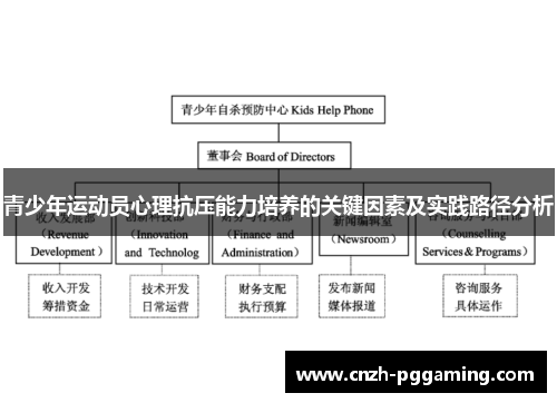 青少年运动员心理抗压能力培养的关键因素及实践路径分析 青少年运动员心理抗压能力培养的关键因素及实践路径分析
