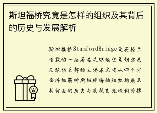斯坦福桥究竟是怎样的组织及其背后的历史与发展解析